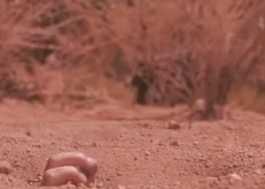 Breaking Bad GIF. Films en series Breaking bad Gifs Walter white 