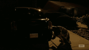 Breaking Bad GIF. Films en series Breaking bad Gifs Aaron paul Teef Jesse pinkman 