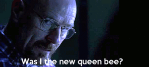 Breaking Bad GIF. Films en series Breaking bad Gifs Walter white Gemene meiden Bijenkoningin 