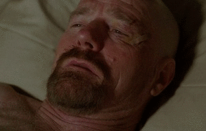 Breaking Bad GIF. Films en series Breaking bad Gifs Filmsterren Bryan cranston Walter white Remmen slecht hondsdolle hond 