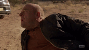 Breaking Bad GIF. Films en series Breaking bad Tv Gifs Dood Hank schrader Dea 