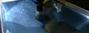 Breaking Bad GIF. Films en series Breaking bad Tv Gifs Aaron paul Jesse pinkman 