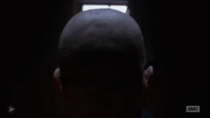 Breaking Bad GIF. Films en series Breaking bad Gifs Aaron paul Jesse pinkman Betsy brandt Hondsdolle hond 