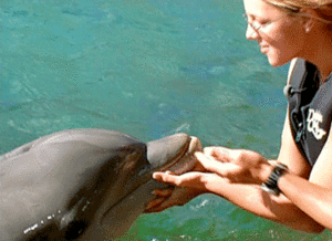 Britney Spears GIF. Artiesten Britney spears Gifs Snl Tieten 