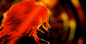 Britney Spears GIF. Muziek Artiesten Britney spears Britney William Gifs 2012 Scream and shout Gillen amp schreeuw 
