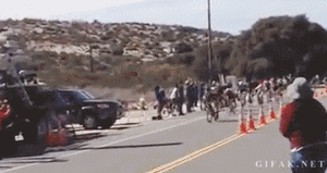 Honden GIF. Dieren Lol Gifs Hond Kip Hond huis Molesteert 