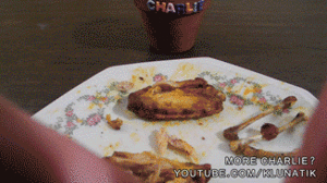Honden GIF. Dieren Lol Gifs Hond Kip Hond huis Molesteert 