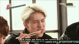 Honden GIF. Dieren Lol Gifs Hond Kip Hond huis Molesteert 