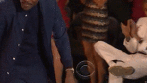 Chris Brown GIF. Artiesten Gifs Chris brown Mijn shit 