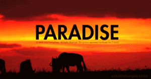 Coldplay GIF. Artiesten Coldplay Gifs Paradise 