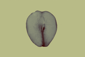 Coldplay GIF. Artiesten Coldplay Gifs Parijs 