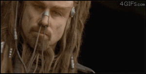 Koe GIF. Dieren Koe Gifs Het+schieten 