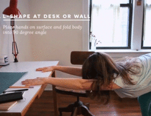 Koe GIF. Dieren Koe Vliegtuig Gifs 