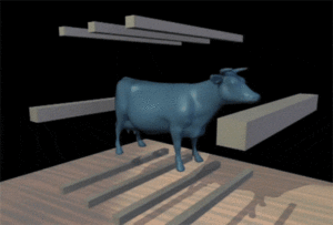Koe GIF. Dieren Koe Gifs 