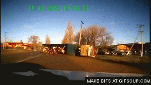 Koe GIF. Dieren Koe Gifs Realitytvgifs Rhobh 