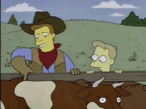 Koe GIF. Dieren Koe Gifs Sproeier 