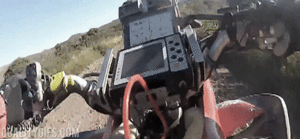 Koe GIF. Dieren Koe Gifs Voldoet+aan Quad 