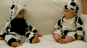 Baby GIF. Dieren Koe Baby Gifs Kostuum Zuigelingen 