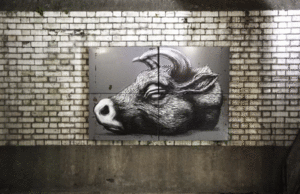 Baby GIF. Dieren Actrice Koe Baby Tv Gifs Hbo Terugkeer Mickey Waarnemend Improv Lassoed 