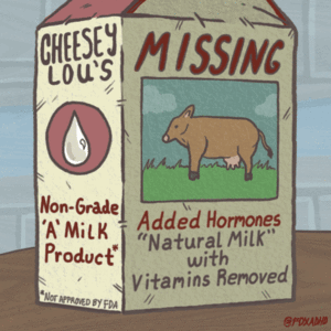 Koe GIF. Dieren Melk Koe Gifs Gif Foxadhd Vos Florida 