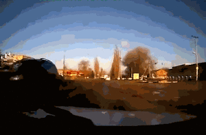 Koe GIF. Dieren Koe Gifs 