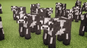 Koe GIF. Dieren Koe Vliegtuig Gifs 