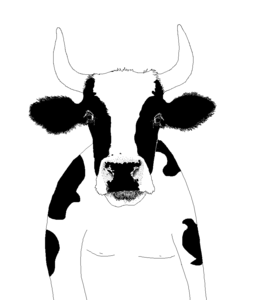 Koe GIF. Dieren Koe Gifs Dier Wenk 