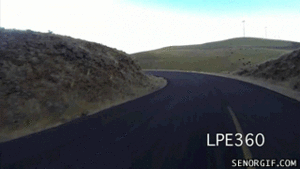 Koe GIF. Dieren Koe Gifs 
