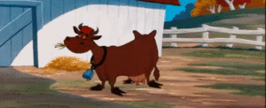Koe GIF. Dieren Koe Gifs 