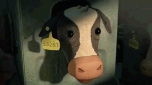 Koe GIF. Dieren Koe Gifs 