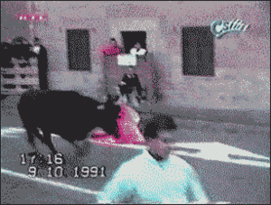 Koe GIF. Dieren Koe Gifs Kak 