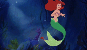 Krab GIF. Dieren Krab Gifs Arm 