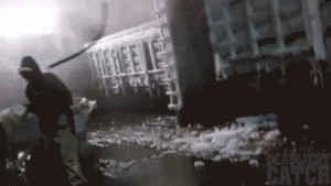Honden GIF. Dieren Krab Gifs Hond 