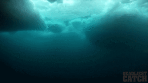 Krab GIF. Dieren Krab Gifs Oceaan Dieren rijdieren 