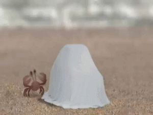 Krab GIF. Dieren Mensen Krab Gifs 