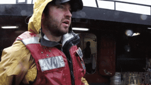 Krab GIF. Dieren Krab Gifs 