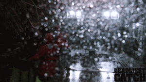 Krab GIF. Dieren Krab Gifs 