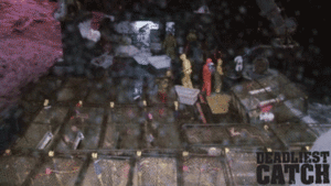 Krab GIF. Dieren Krab Gifs 