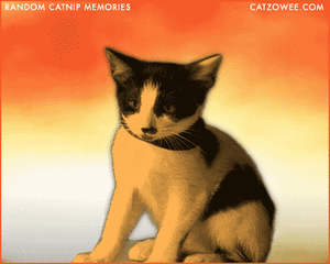 Daft Punk GIF. Muziek Artiesten Gifs Daft punk 