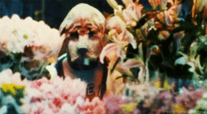 Daft Punk GIF. Muziek Artiesten Gifs Daft punk 