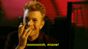 David Bowie GIF. Artiesten Roken Sigaret Gifs David bowie Lachend Giechelen 