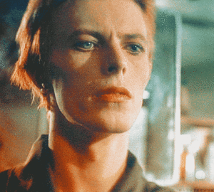 David Bowie GIF. Beroemdheden Artiesten Gifs David bowie Ander Fotoset 00s 