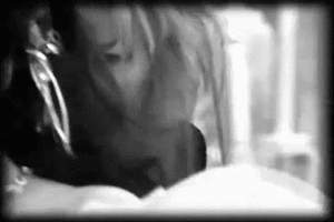 David Bowie GIF. Artiesten Gifs David bowie Knikkend Het eens zijn 