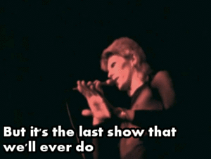 David Bowie GIF. Artiesten Gifs David bowie Filmsterren Ben stiller Zoolander Owen wilson 
