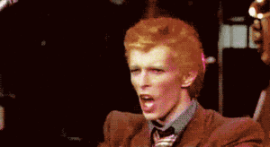 David Bowie GIF. Artiesten Tv Gifs David bowie Hahaha nee 