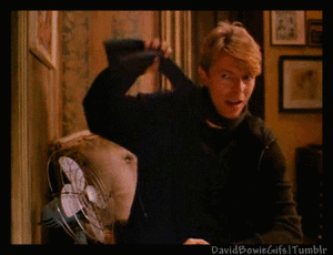 David Bowie GIF. Artiesten Tv Gifs David bowie Hahaha nee 