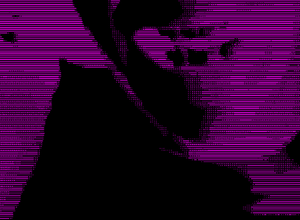 David Bowie GIF. Artiesten Gifs David bowie 