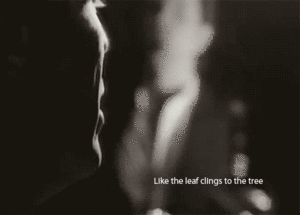 David Bowie GIF. Artiesten Gifs David bowie 