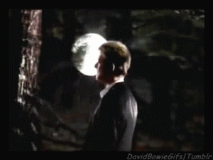 David Bowie GIF. Beroemdheden Artiesten Gifs David bowie Ander 