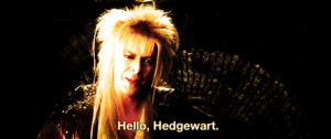David Bowie GIF. Artiesten Gifs David bowie 